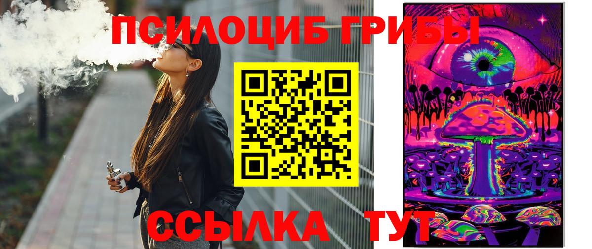 Псилоцибиновые грибы Psilocybe  Галлюциногенные грибы мицелий  Вход с VPN  Губкин 